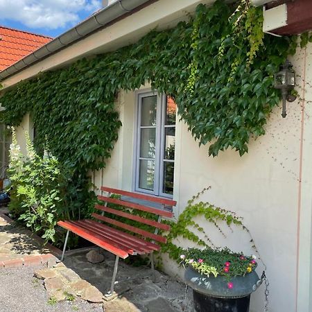 FEWO im Kneipenviertel Altkötzschenbroda Radebeul Exterior foto