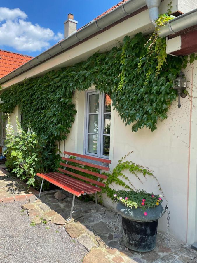 FEWO im Kneipenviertel Altkötzschenbroda Radebeul Exterior foto